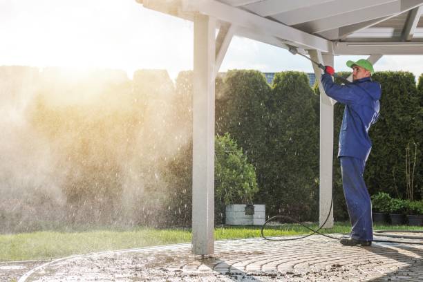 Best Soft Washing  in Rancho Viejo, TX
